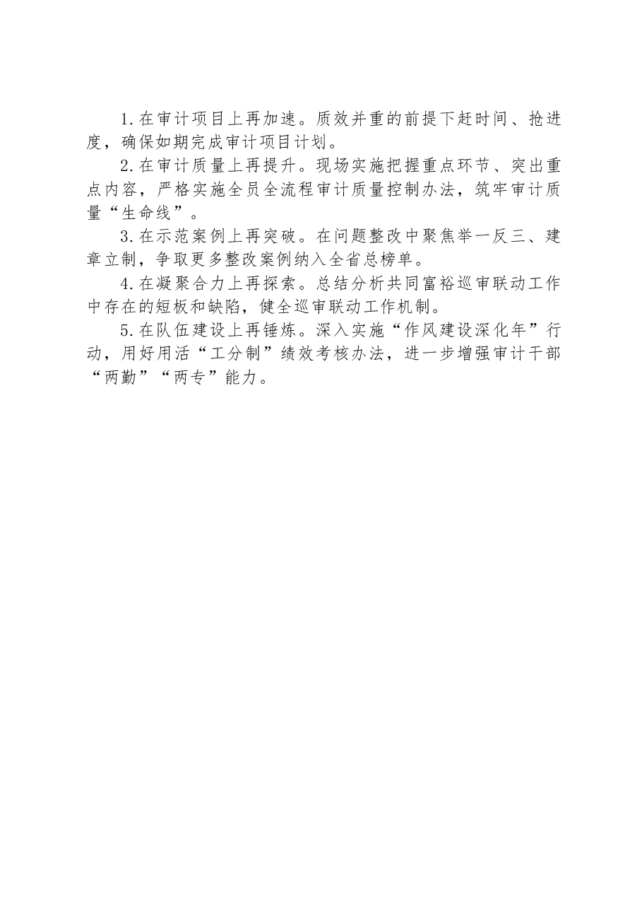 县审计局2023年上半年工作总结和下半年工作思路 .docx,第3页预览