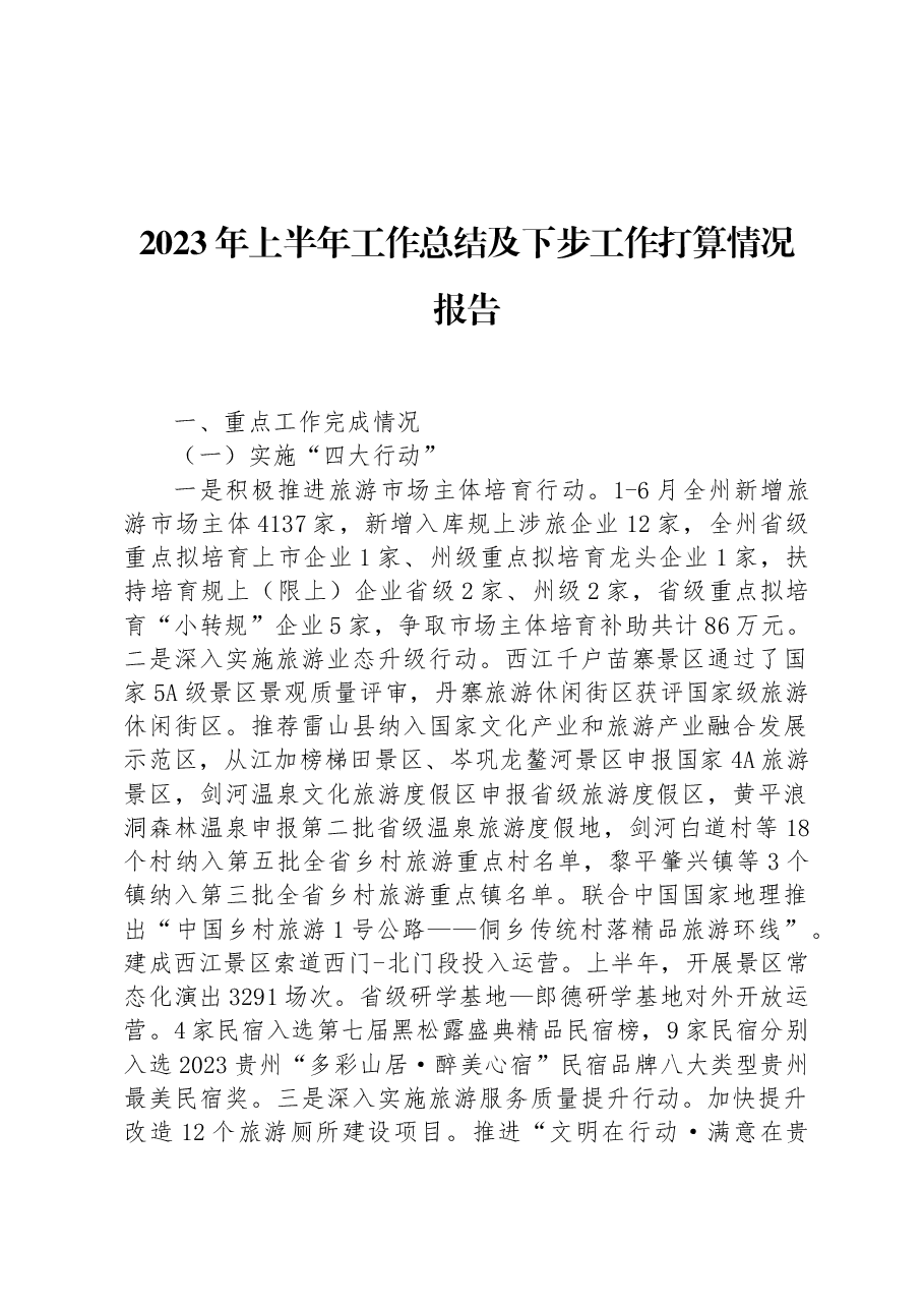 2023年上半年工作总结及下步工作打算情况报告.docx,第1页预览