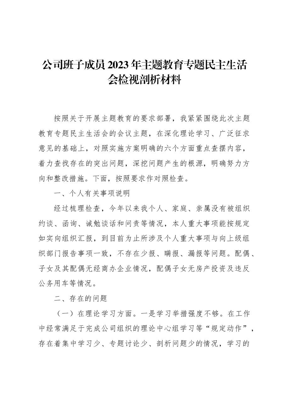 公司班子成员2023年主题教育专题民主生活会检视剖析材料.docx,第1页预览