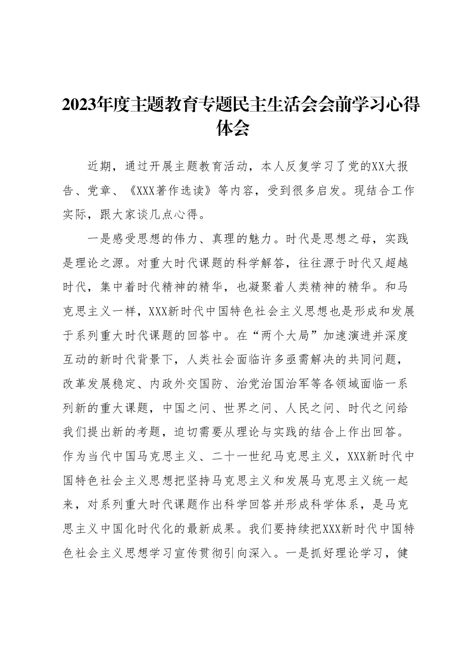 2023年度主题教育专题民主生活会会前学习心得体会 2.docx,第1页预览