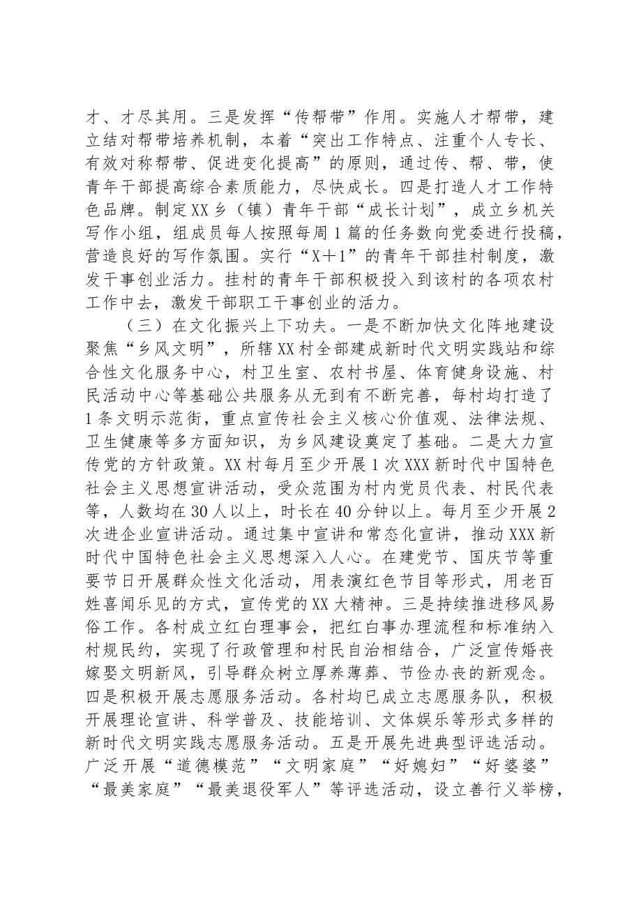 2023年某乡镇的乡村振兴调研报告.docx,第3页预览