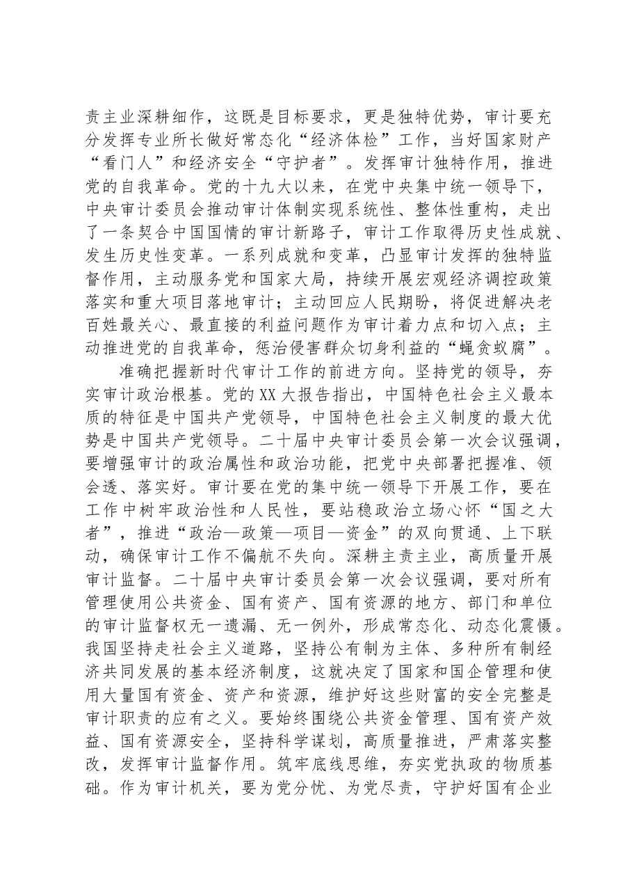 在国有企业审计工作专题研讨交流会上的发言材料.docx，第2页预览
