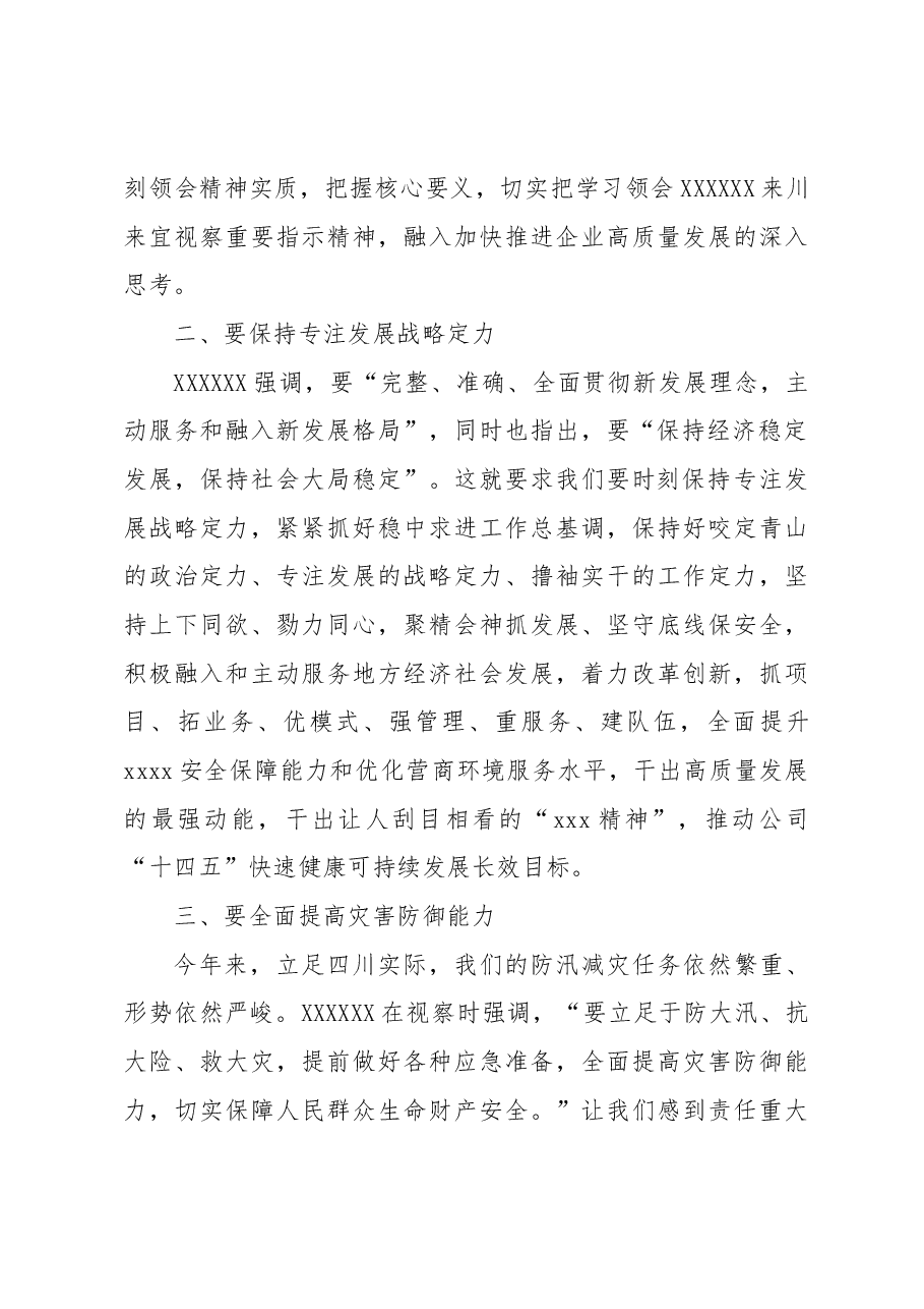 专题党课:专题传达学习习近平总书记来川来宜视察重要指示精神.docx,第3页预览