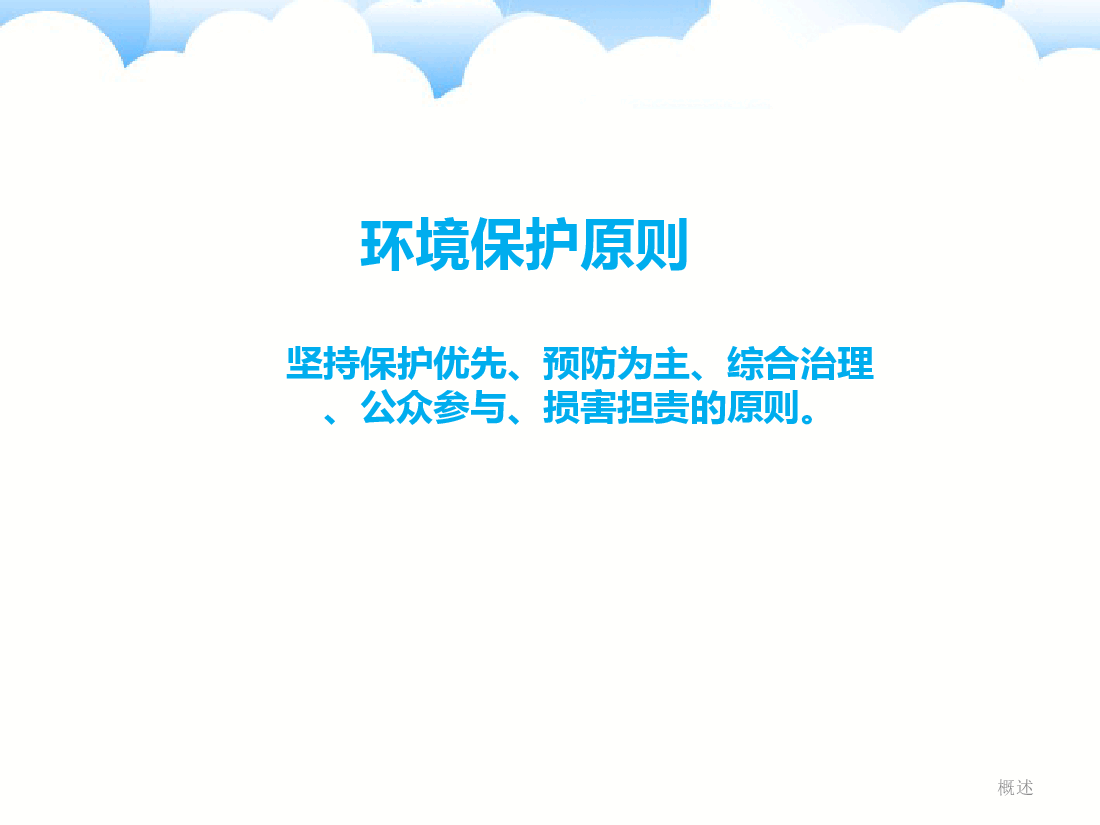 蓝色简约风环境保护专项合规指引PPT.ppt,第3页预览