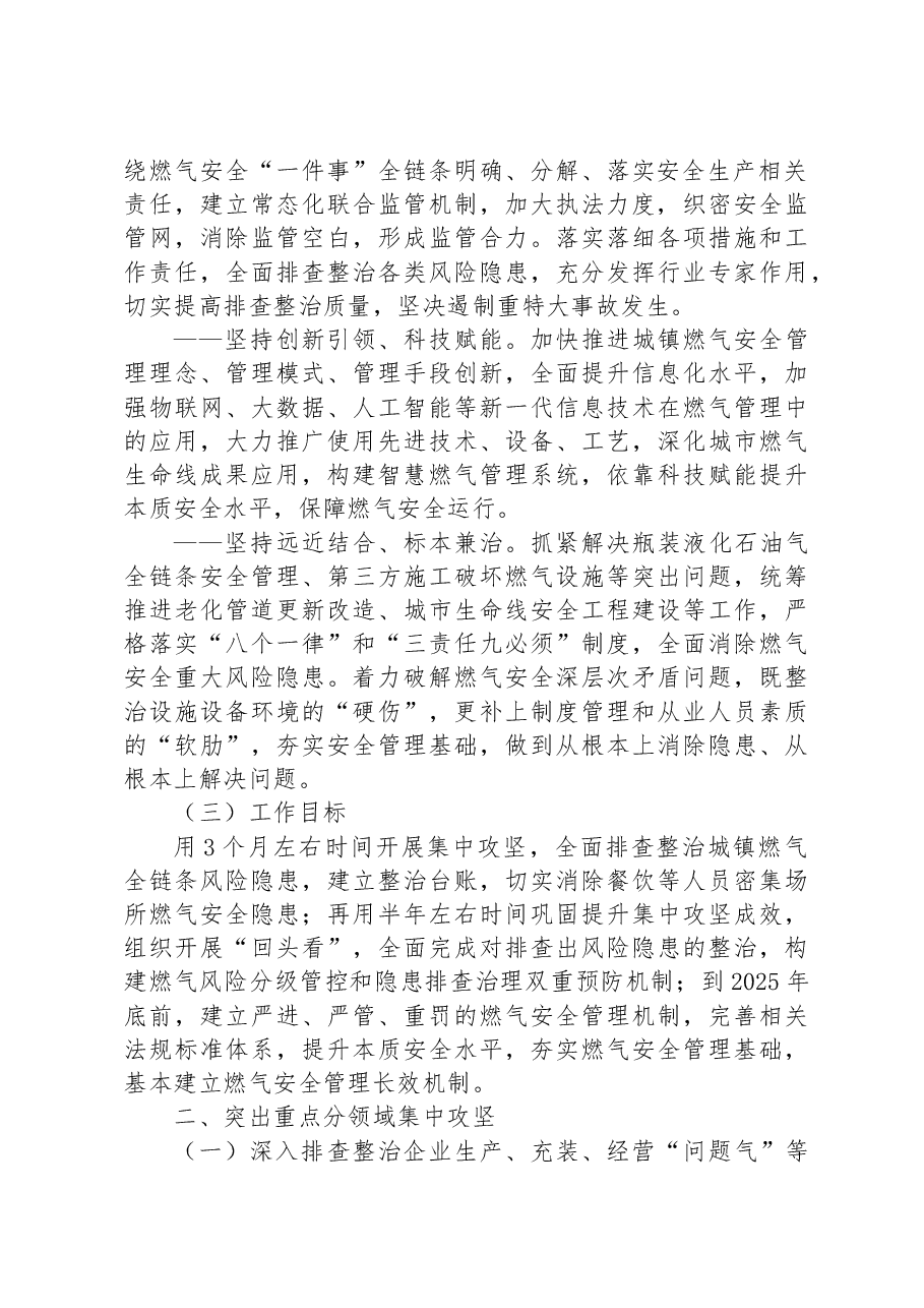 市城镇燃气安全专项整治工作方案.docx,第2页预览
