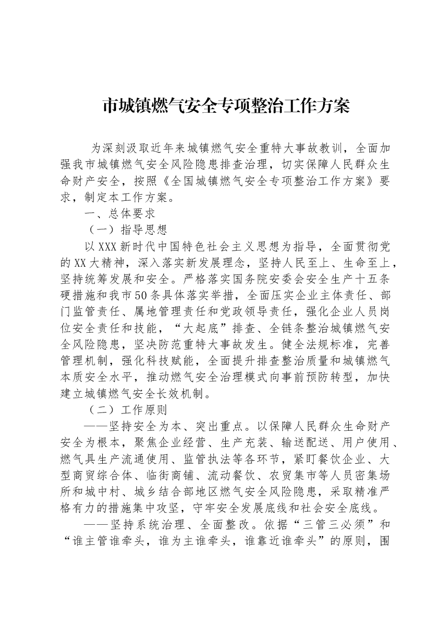 市城镇燃气安全专项整治工作方案.docx,第1页预览