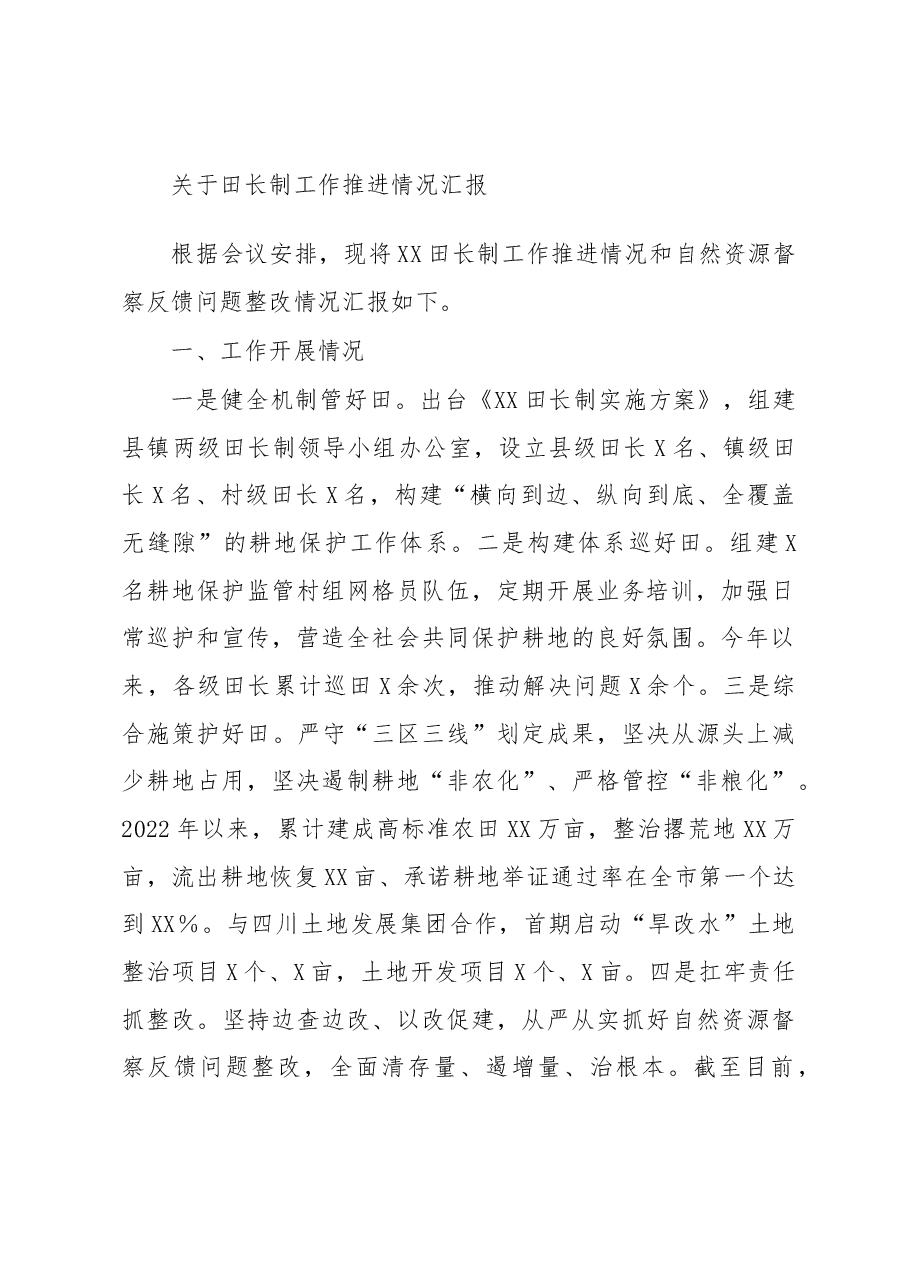 关于田长制工作推进情况汇报.docx,第1页预览