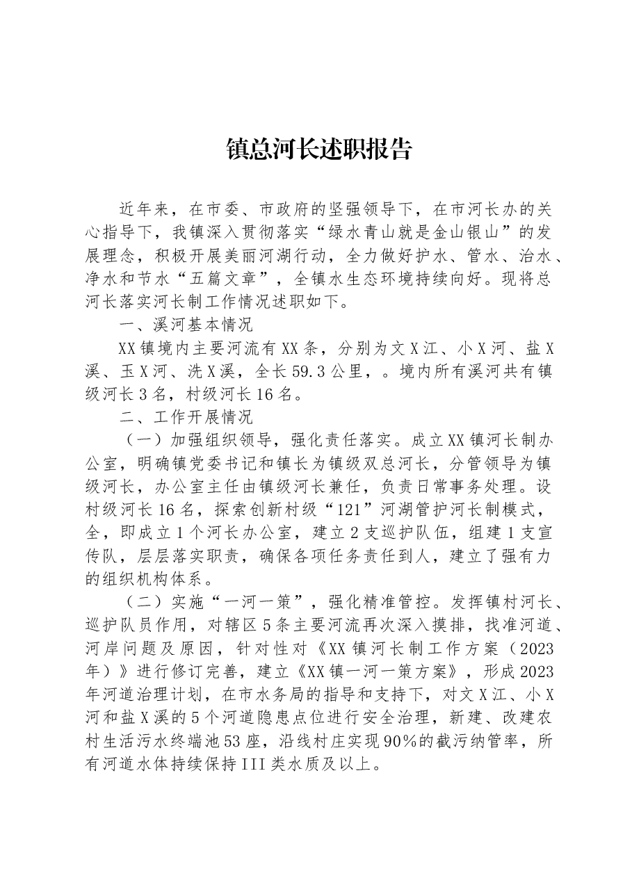 镇总河长述职报告.docx,第1页预览