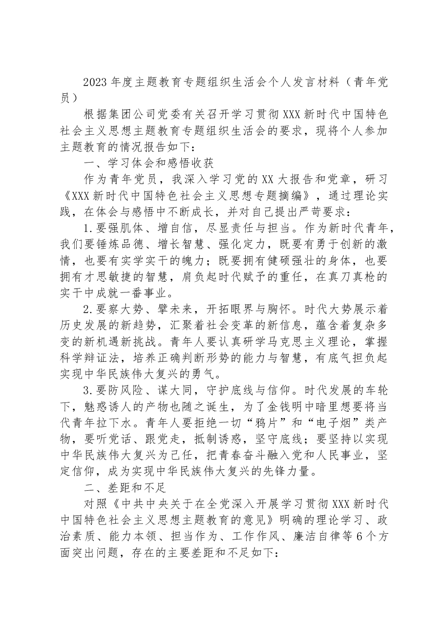 2023年度主题教育专题组织生活会个人发言材料(青年党员).docx,第1页预览