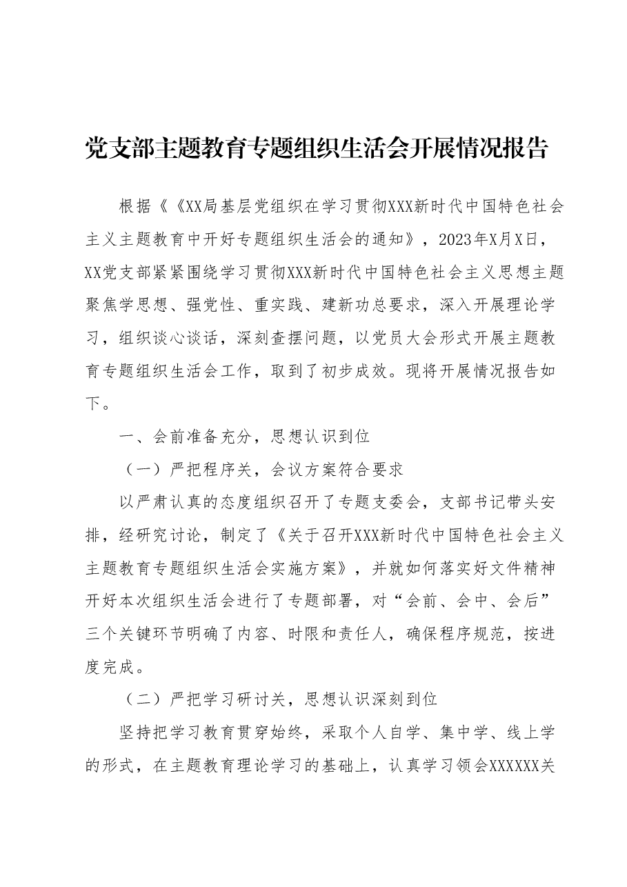 党支部主题教育专题组织生活会开展情况报告.docx，第1页预览