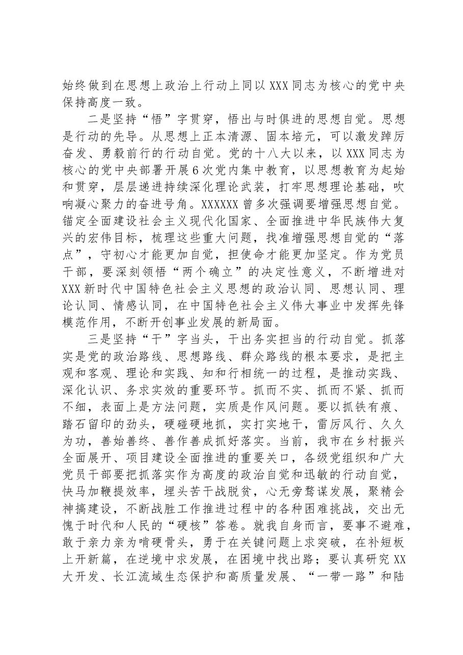 在2023年第二批主题教育理论学习专题研讨会上的发言.docx,第2页预览