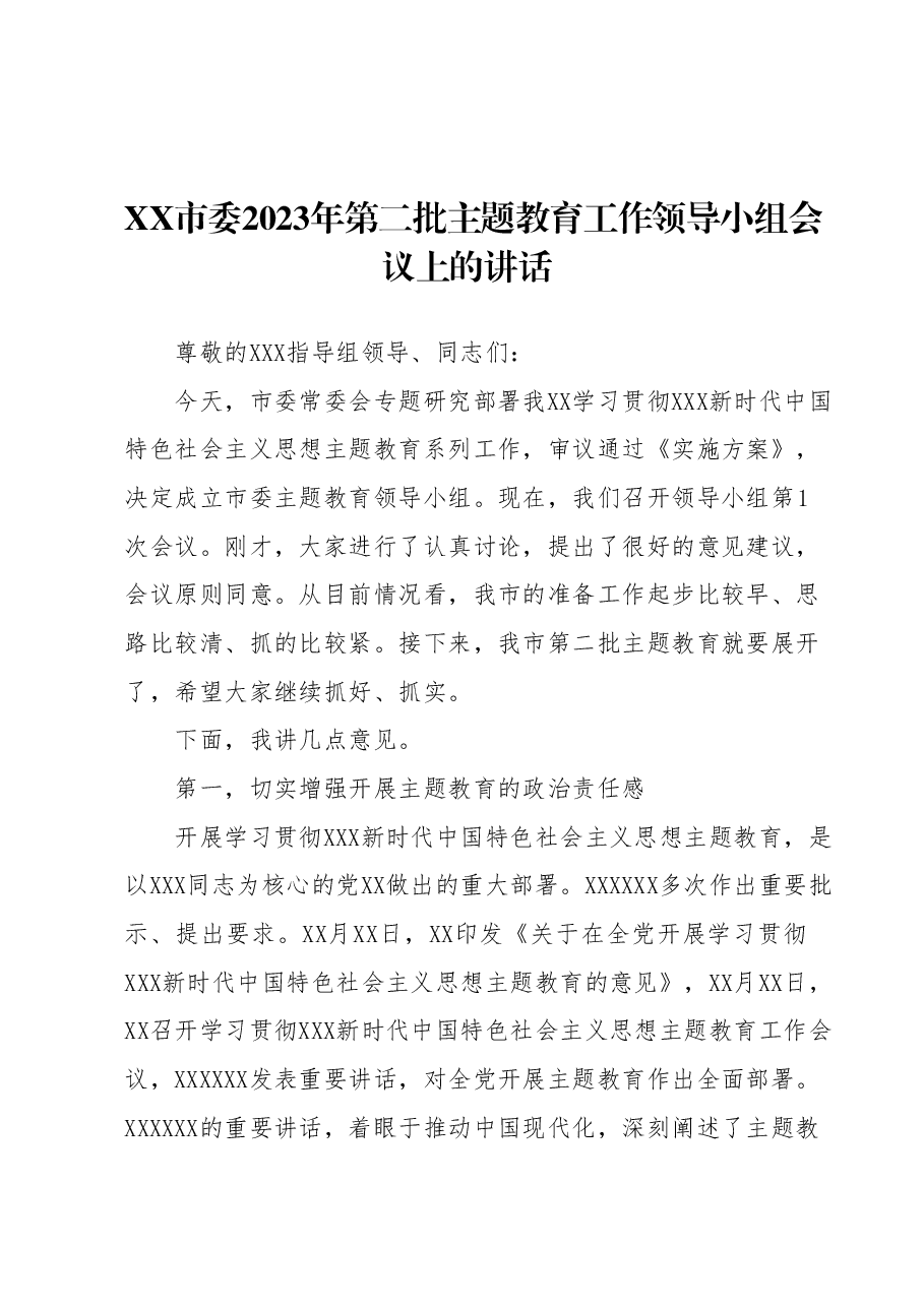 XX市委2023年第二批主题教育工作领导小组会议上的讲话.docx,第1页预览