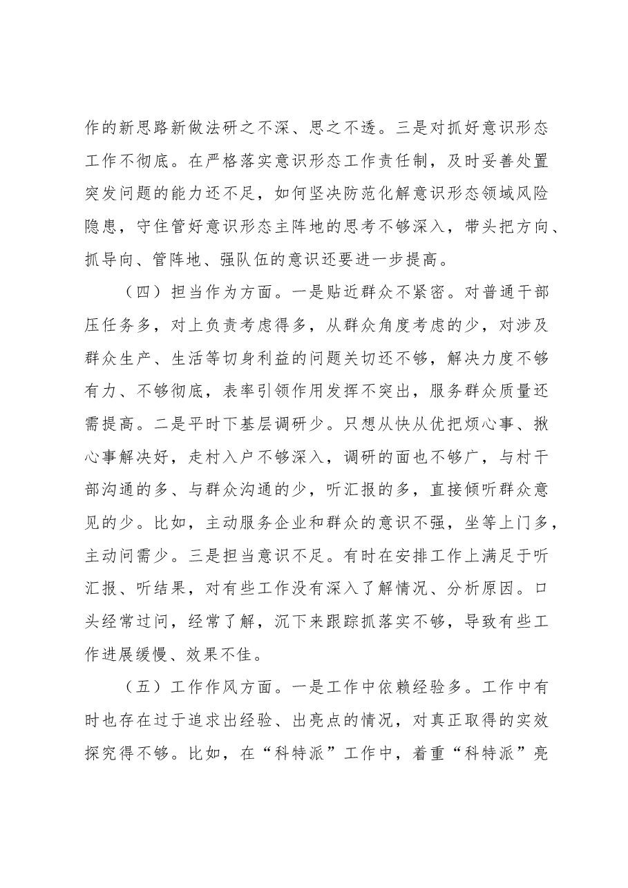 乡镇镇长主题教育民主生活会个人对照检查材料（素质能力、担当作为、检视剖析，发言提纲）.docx，第3页预览