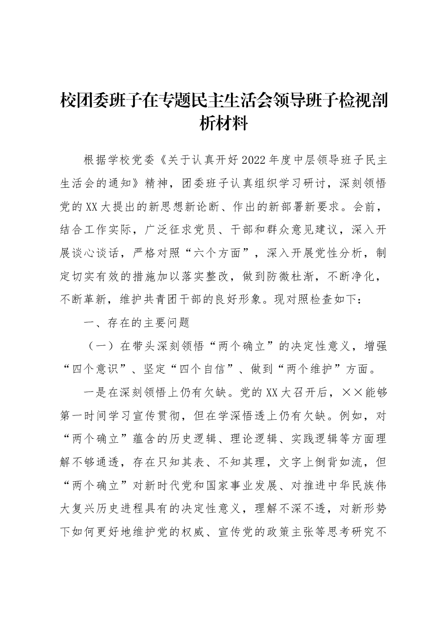 校团委班子在专题民主生活会领导班子检视剖析材料.docx,第1页预览