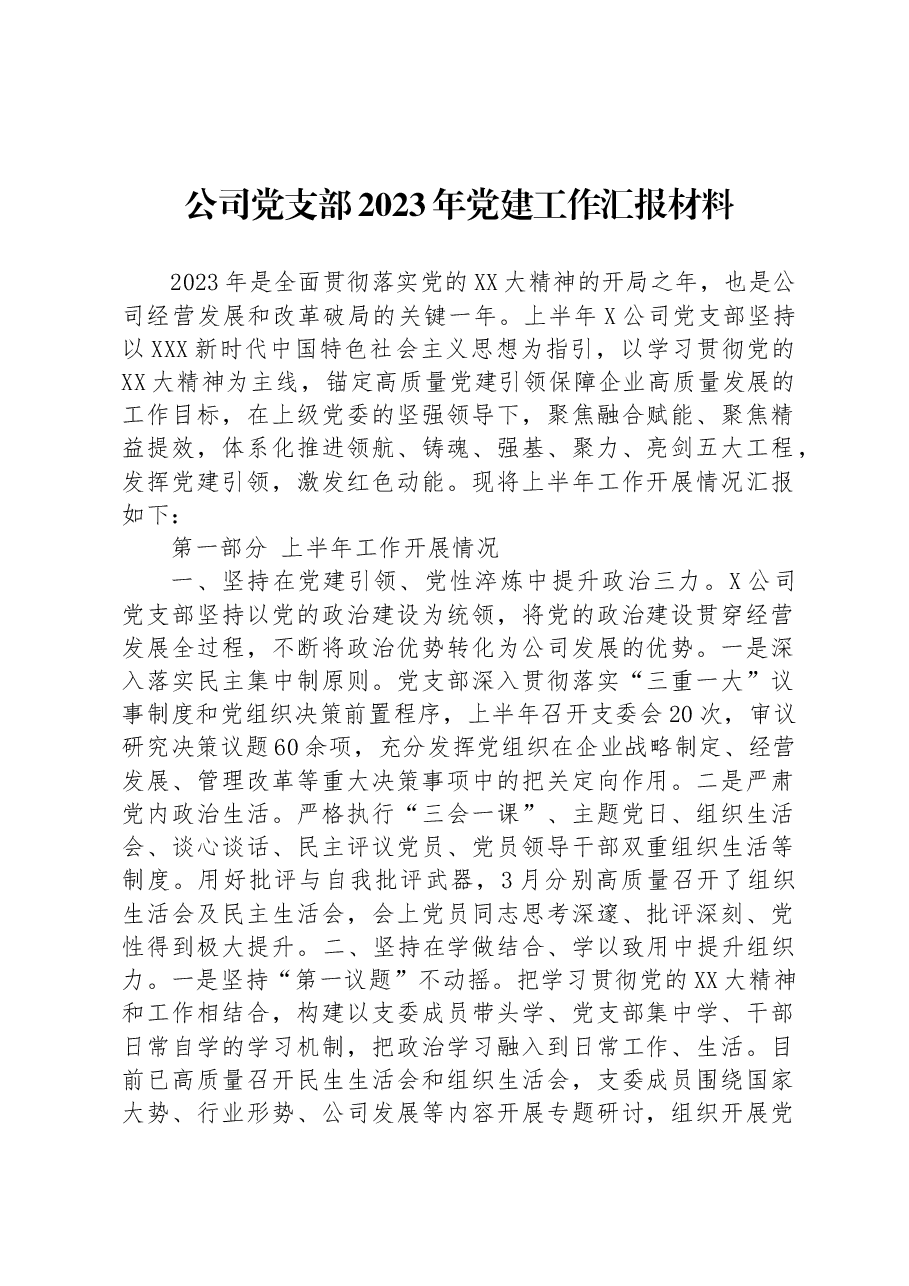 公司党支部2023年党建工作汇报材料.docx,第1页预览
