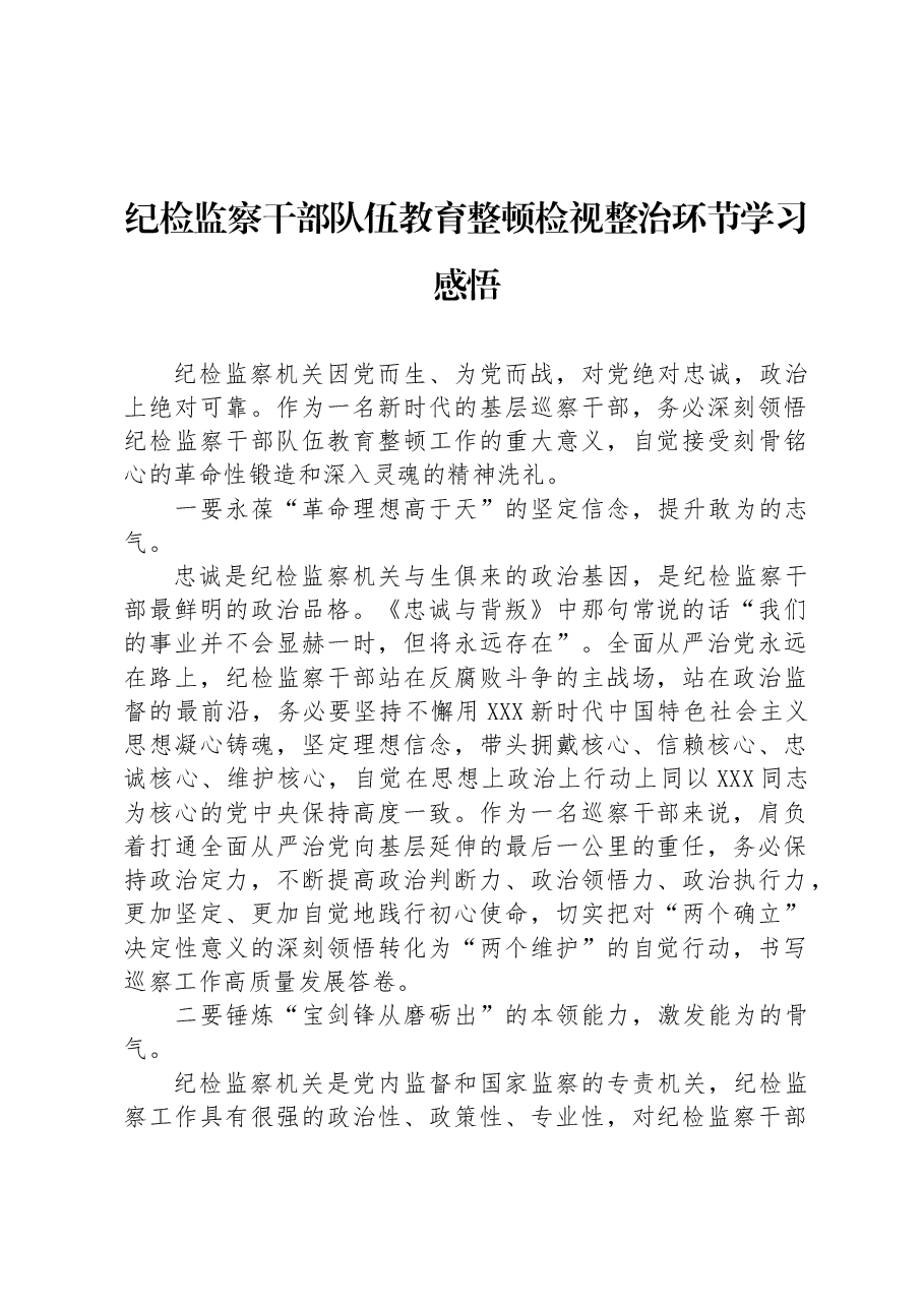 纪检监察干部队伍教育整顿检视整治环节学习感悟.docx,第1页预览