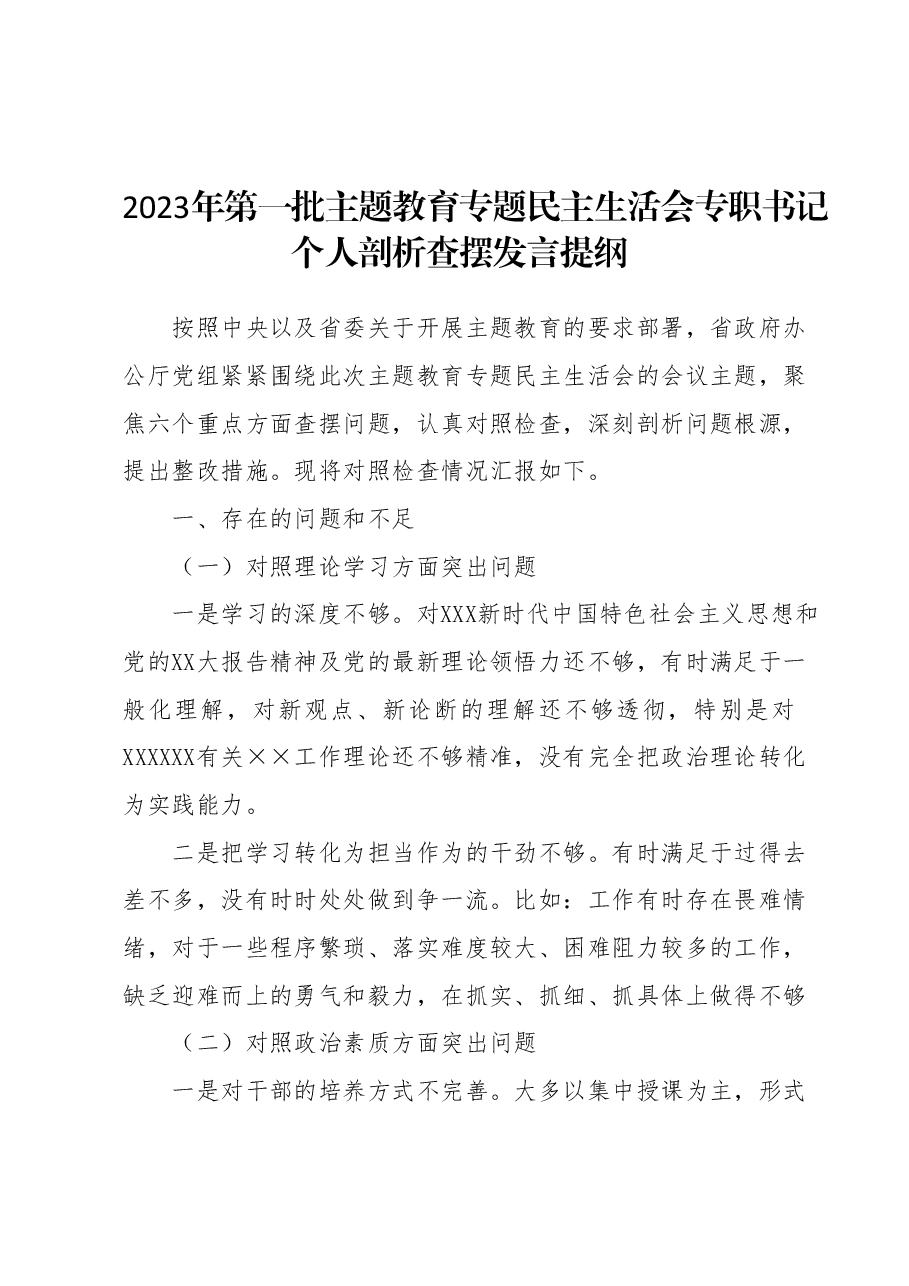 2023年第一批主题教育专题民主生活会 专职书记个人剖析查摆发言提纲.docx，第1页预览