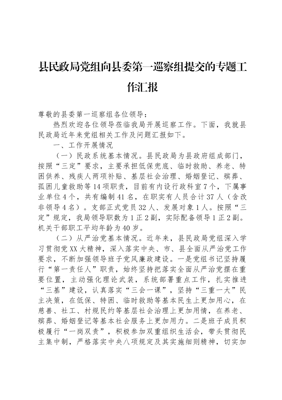 县民政局党组向县委第一巡察组提交的专题工作汇报.docx,第1页预览