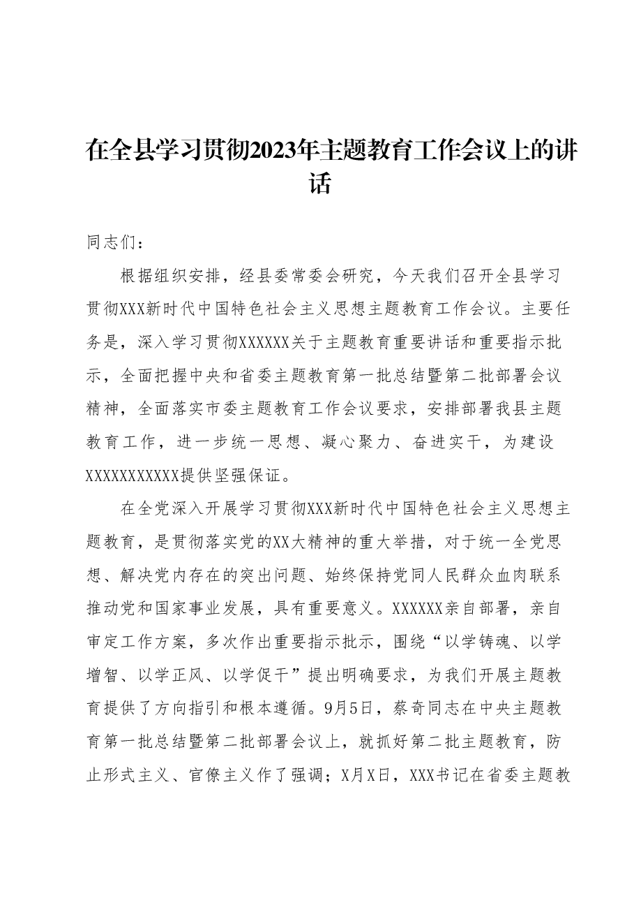 在全县学习贯彻2023年主题教育工作会议上的讲话.docx,第1页预览