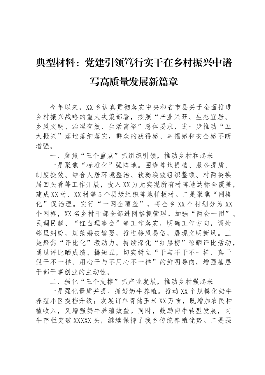 典型材料:党建引领笃行实干在乡村振兴中谱写高质量发展新篇章.docx,第1页预览