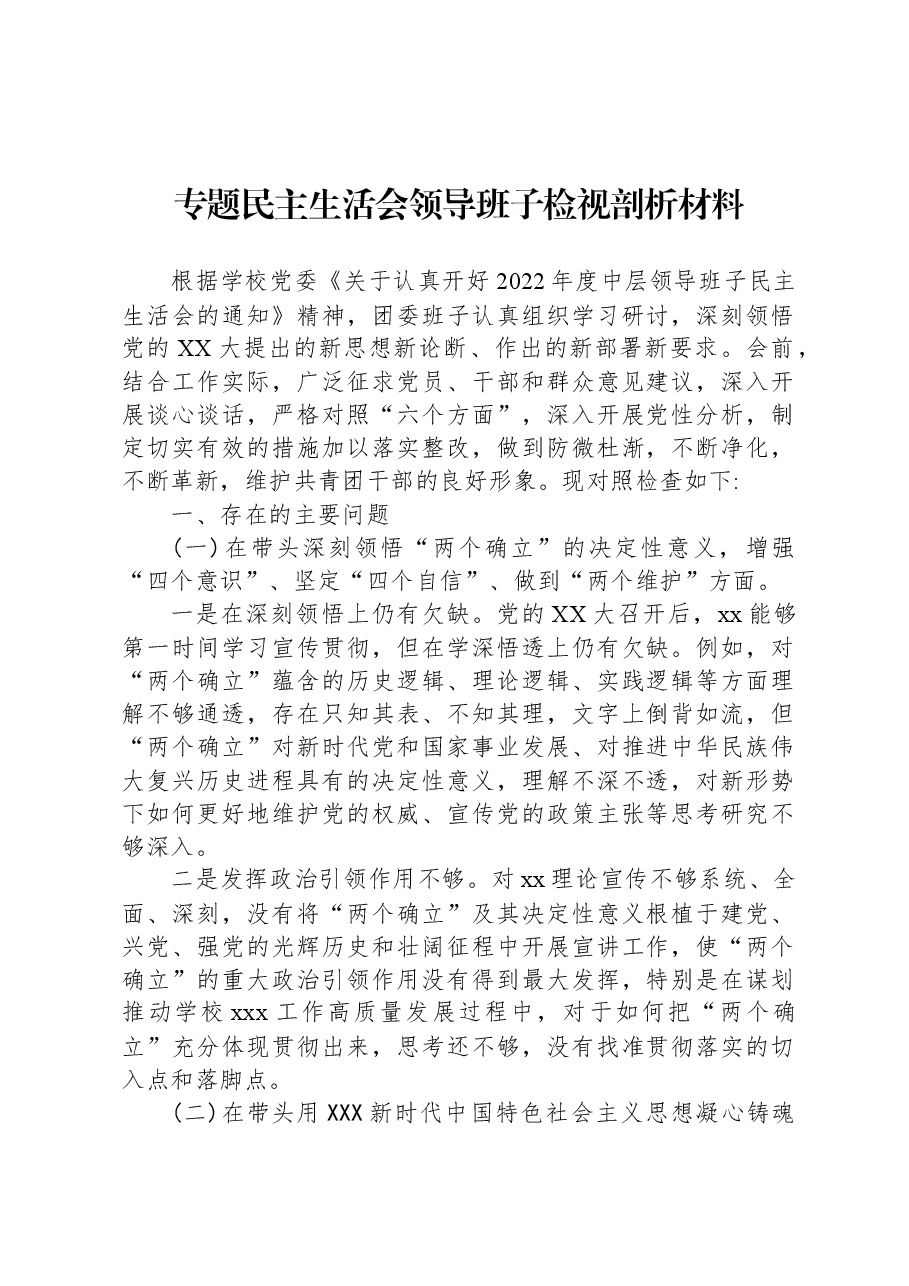 专题民主生活会领导班子检视剖析材料.docx，第1页预览