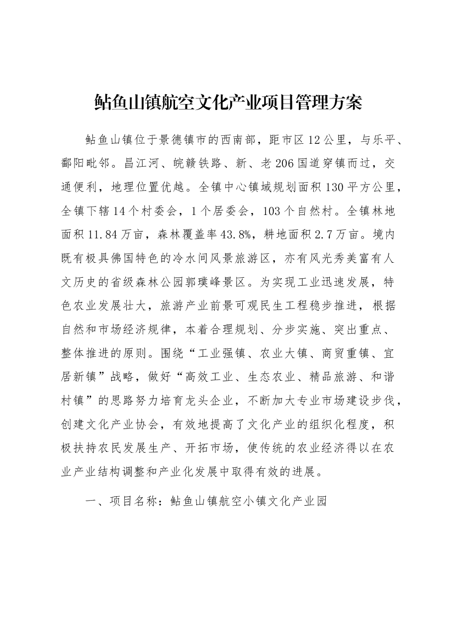 鲇鱼山镇航空文化产业项目管理方案.docx,第1页预览