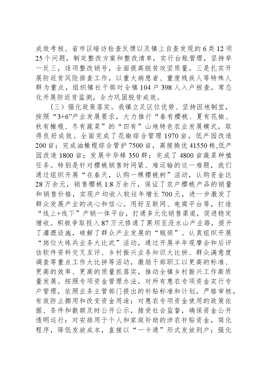 乡镇行乡村振兴工作第一责任人职责情况报告.docx,第2页预览