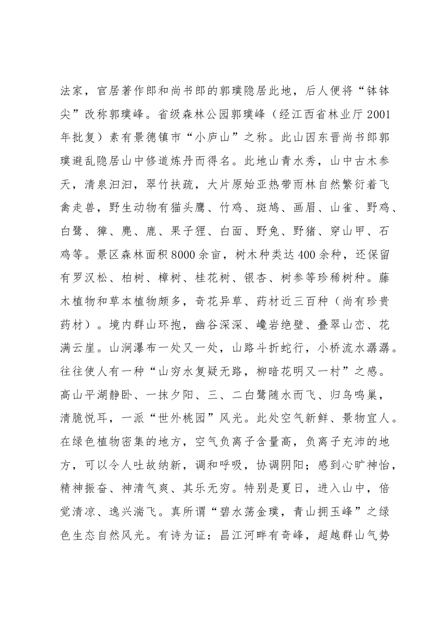 鲇鱼山镇航空文化产业项目管理方案.docx,第4页预览