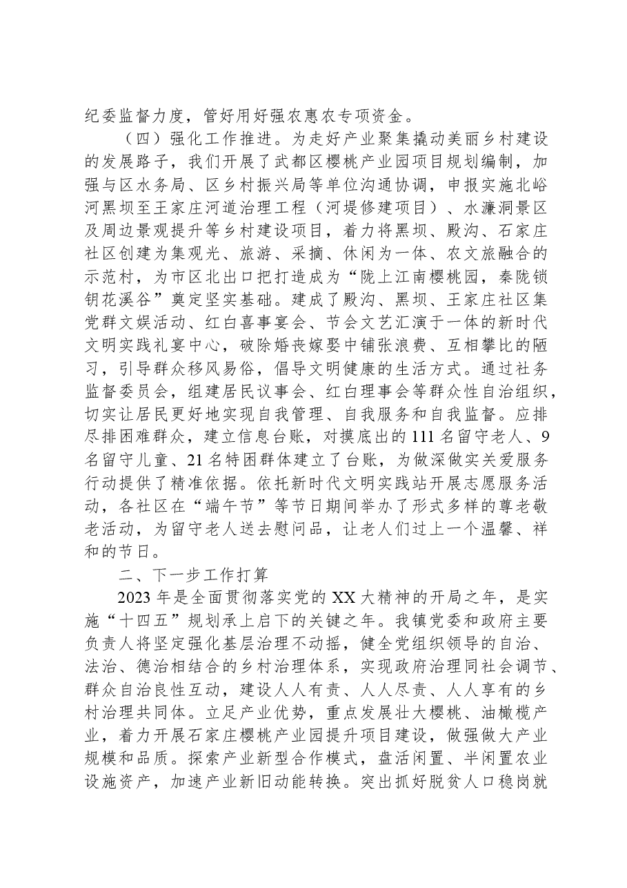 乡镇行乡村振兴工作第一责任人职责情况报告.docx,第3页预览