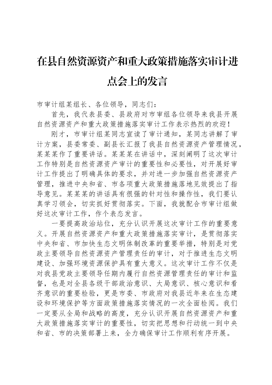 在县自然资源资产和重大政策措施落实审计进点会上的发言.docx,第1页预览