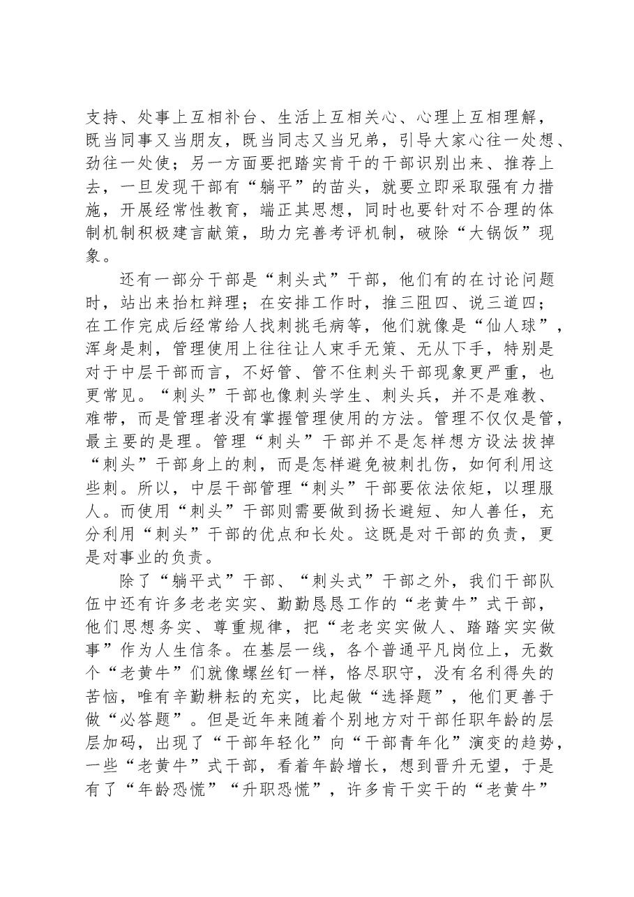 关于中层干部的研讨发言.docx,第2页预览
