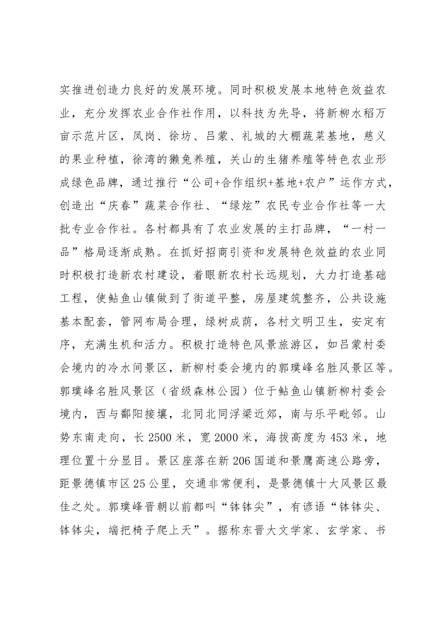 鲇鱼山镇航空文化产业项目管理方案.docx,第3页预览