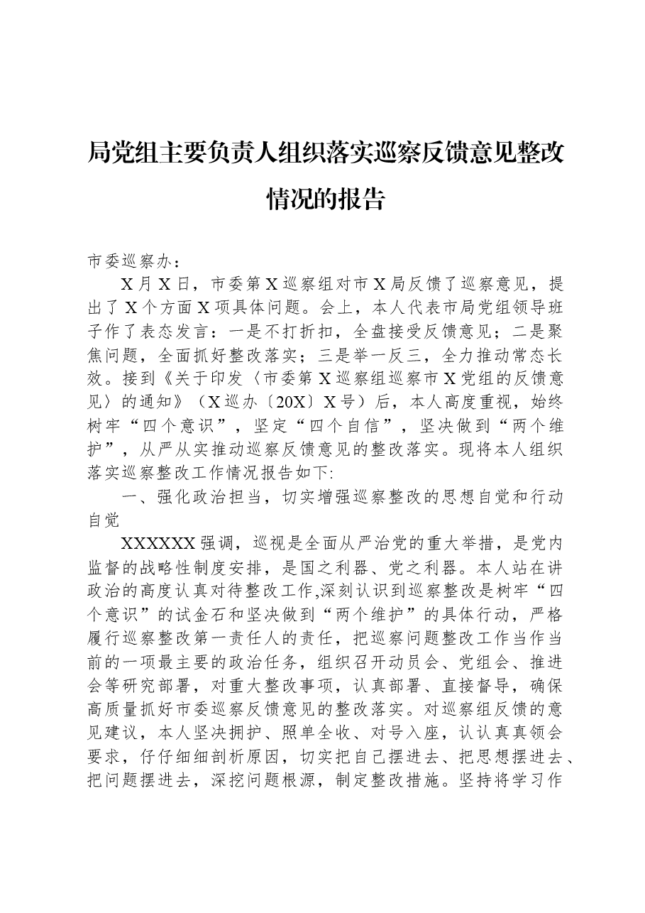 局党组主要负责人组织落实巡察反馈意见整改情况的报告.docx,第1页预览