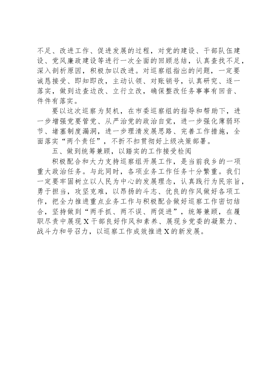 党委在巡视巡察工作动员会上的表态发言.docx,第3页预览