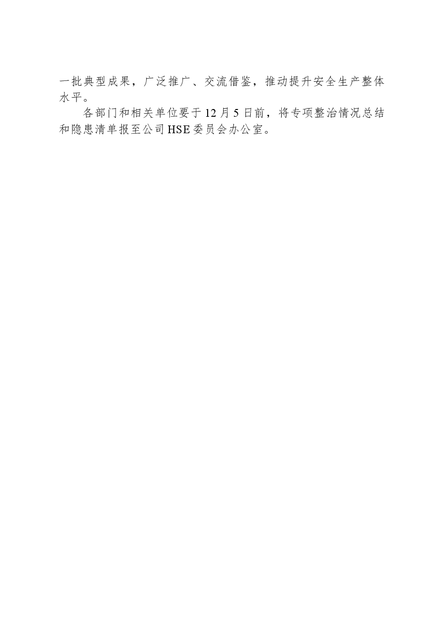 危化行业专项整治工作方案.docx,第4页预览