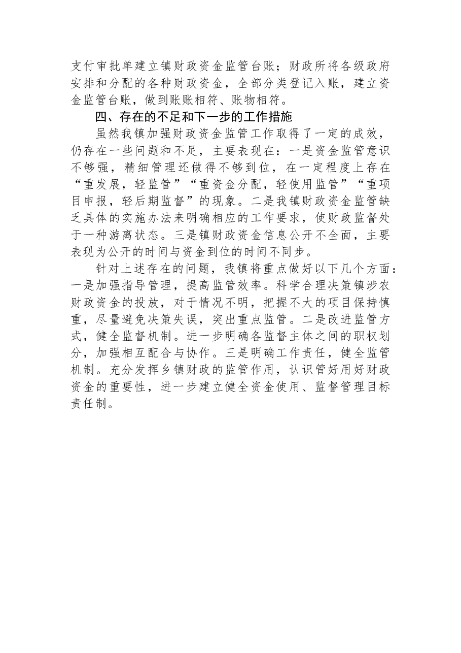 财政资金监管工作自查报告.docx,第3页预览