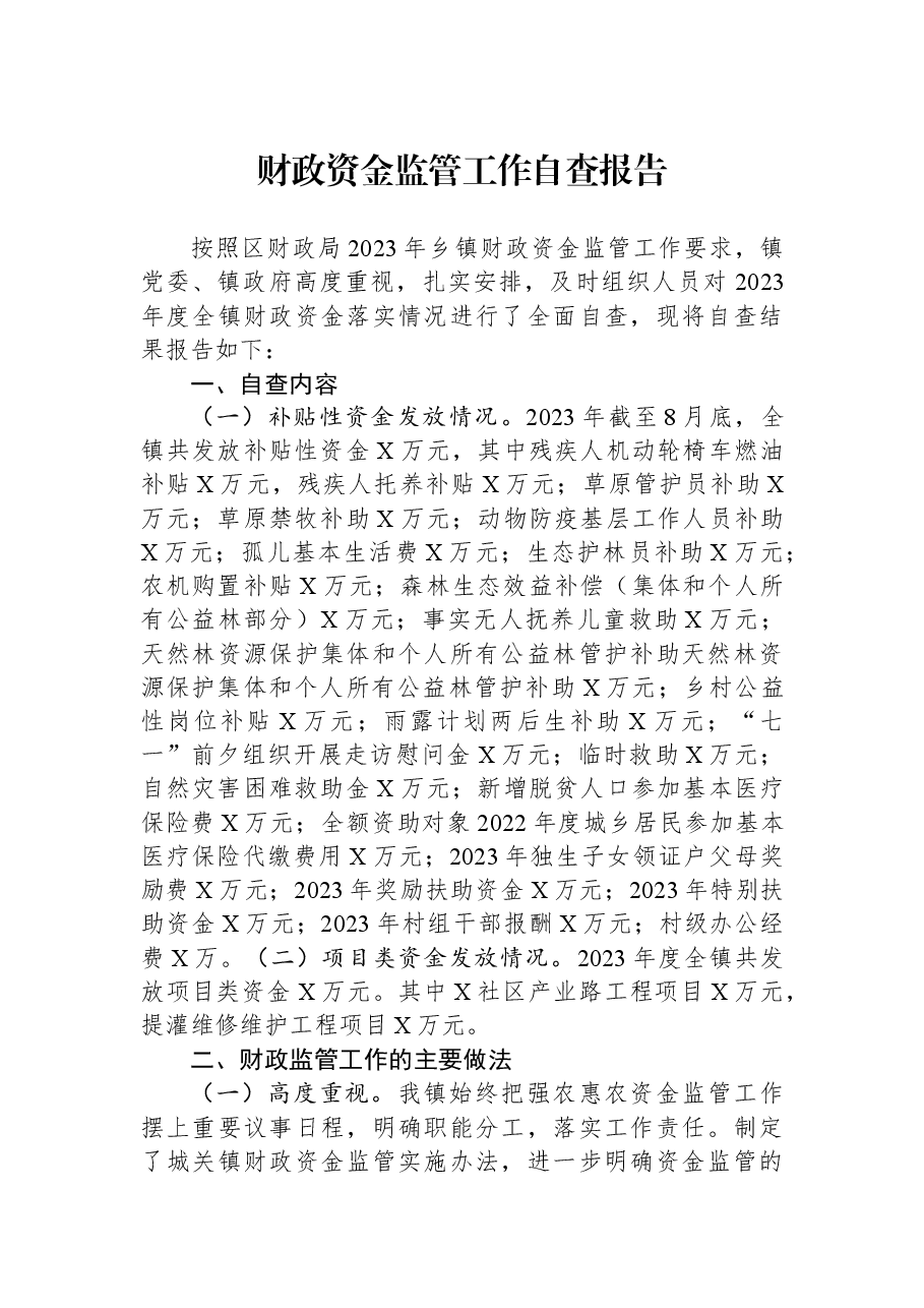 财政资金监管工作自查报告.docx,第1页预览