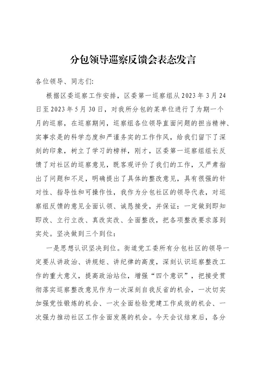 分包领导巡察反馈会表态发言.docx,第1页预览
