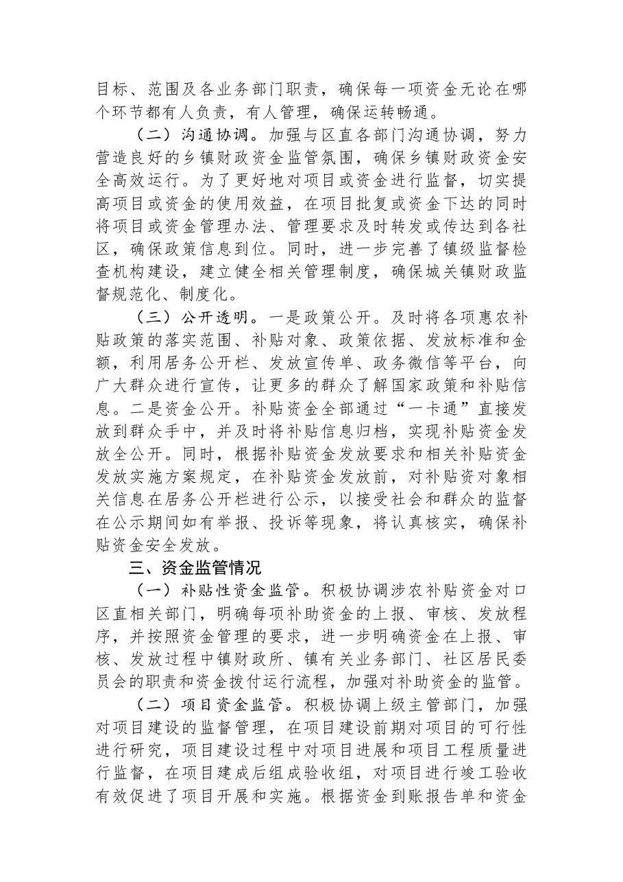 财政资金监管工作自查报告.docx,第2页预览