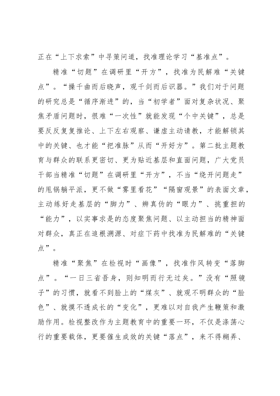 第二批主题教育学习心得:“精准出击”让主题教育落在“点”上.docx,第2页预览