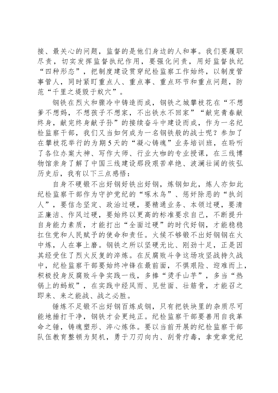 纪检监察干部体会类范文.docx,第2页预览