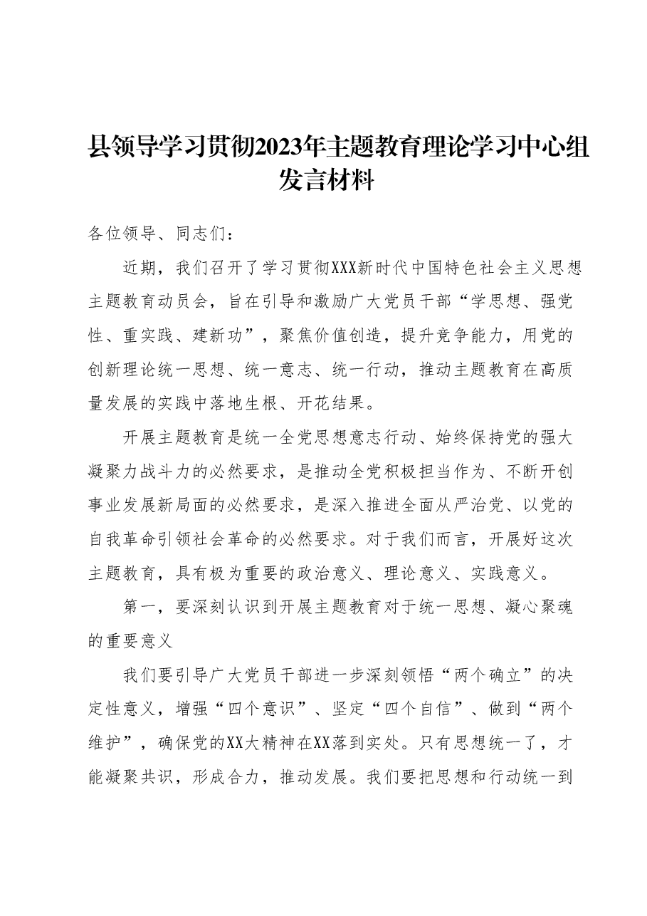 县领导学习贯彻2023年主题教育理论学习中心组发言材料.docx,第1页预览