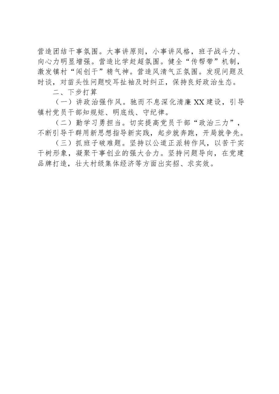 履行基层党建工作责任述职报告(乡镇党委书记).docx,第2页预览