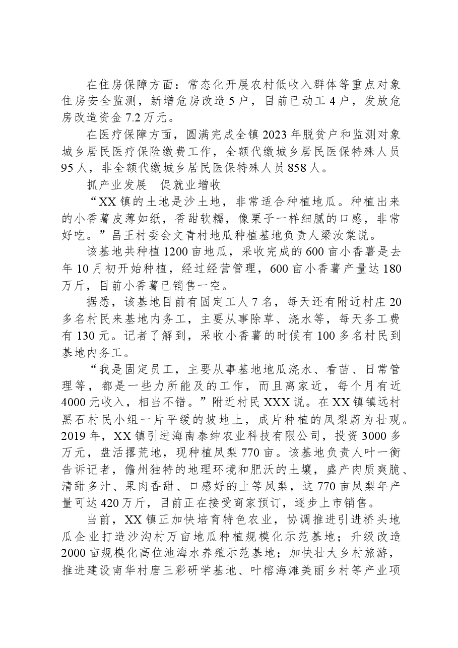 村美民富产业旺+乡村振兴谱新篇——XX镇推进乡村振兴工作综述.docx,第2页预览