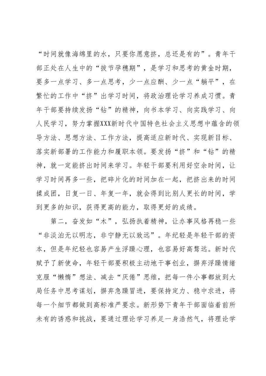 在第二批主题教育10月份青年干部座谈会上的讲话提纲.docx,第2页预览