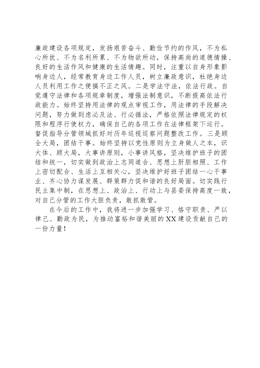 2023年挂职副县长工作总结.docx，第4页预览