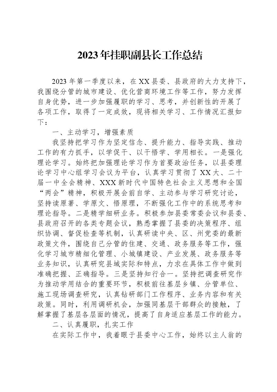 2023年挂职副县长工作总结.docx，第1页预览