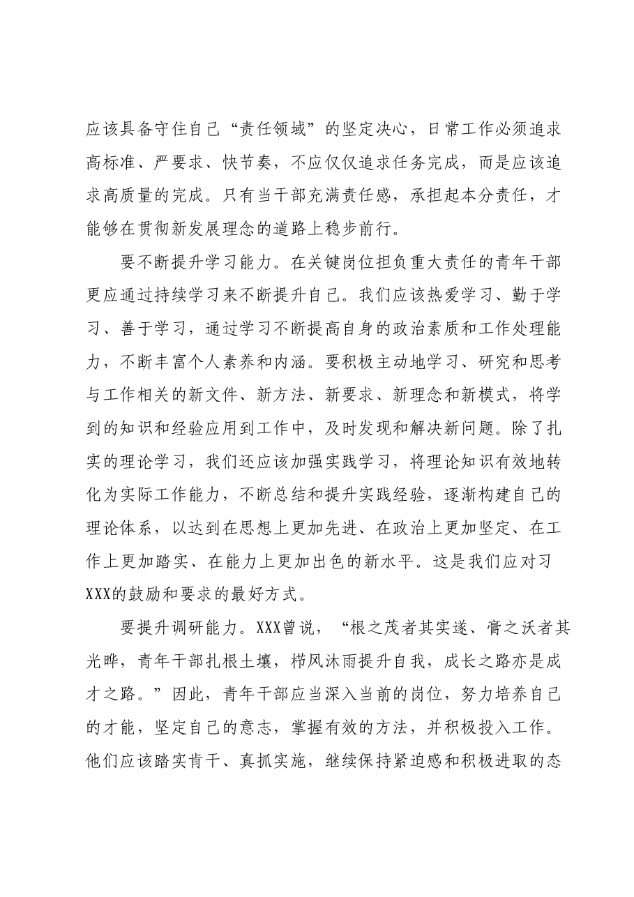 主题教育党课:贯彻主题教育精神,扬青年风采,谱无悔青春.docx,第4页预览