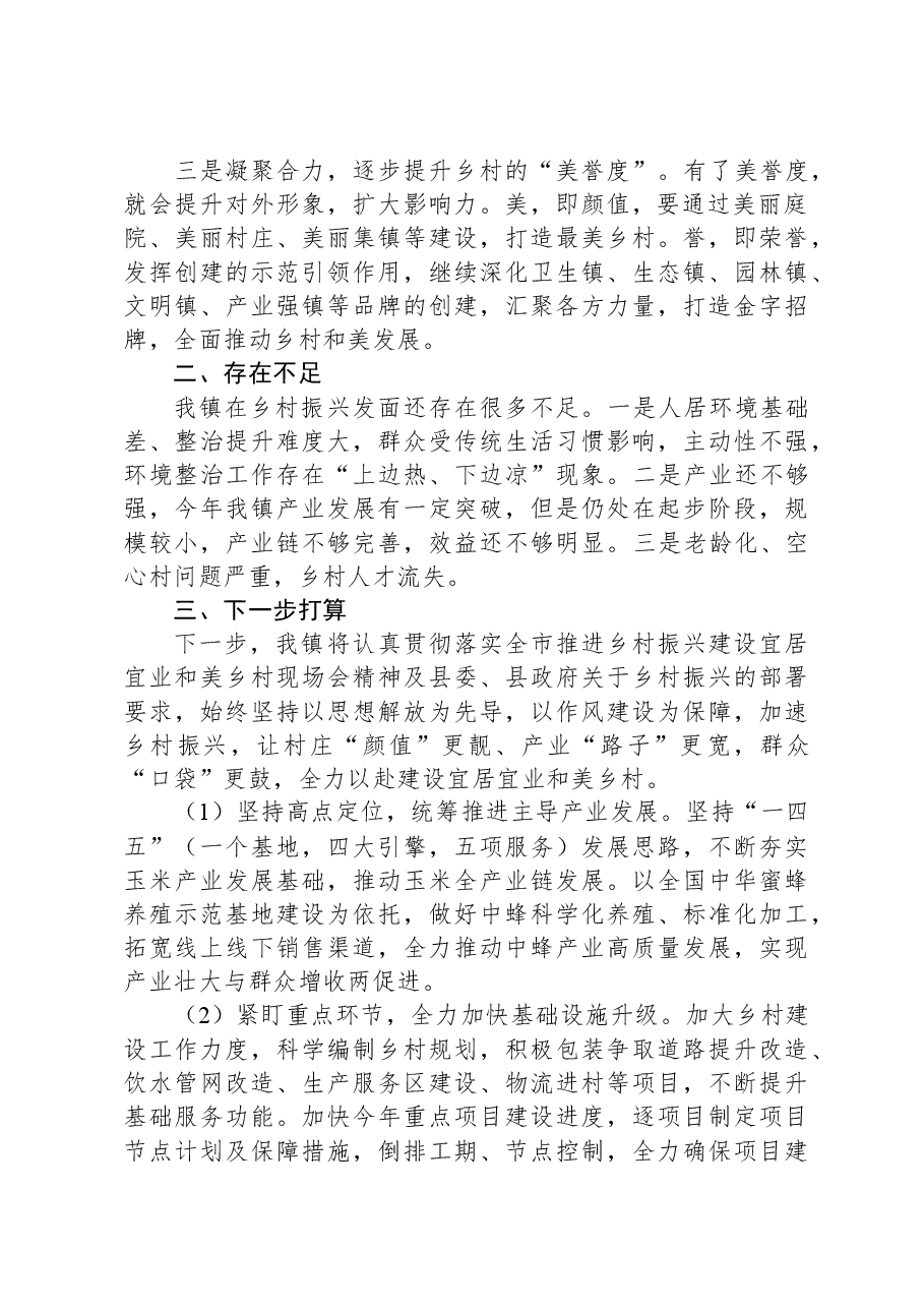 推进乡村振兴建设宜居宜业和美乡村研讨会发言.docx,第2页预览