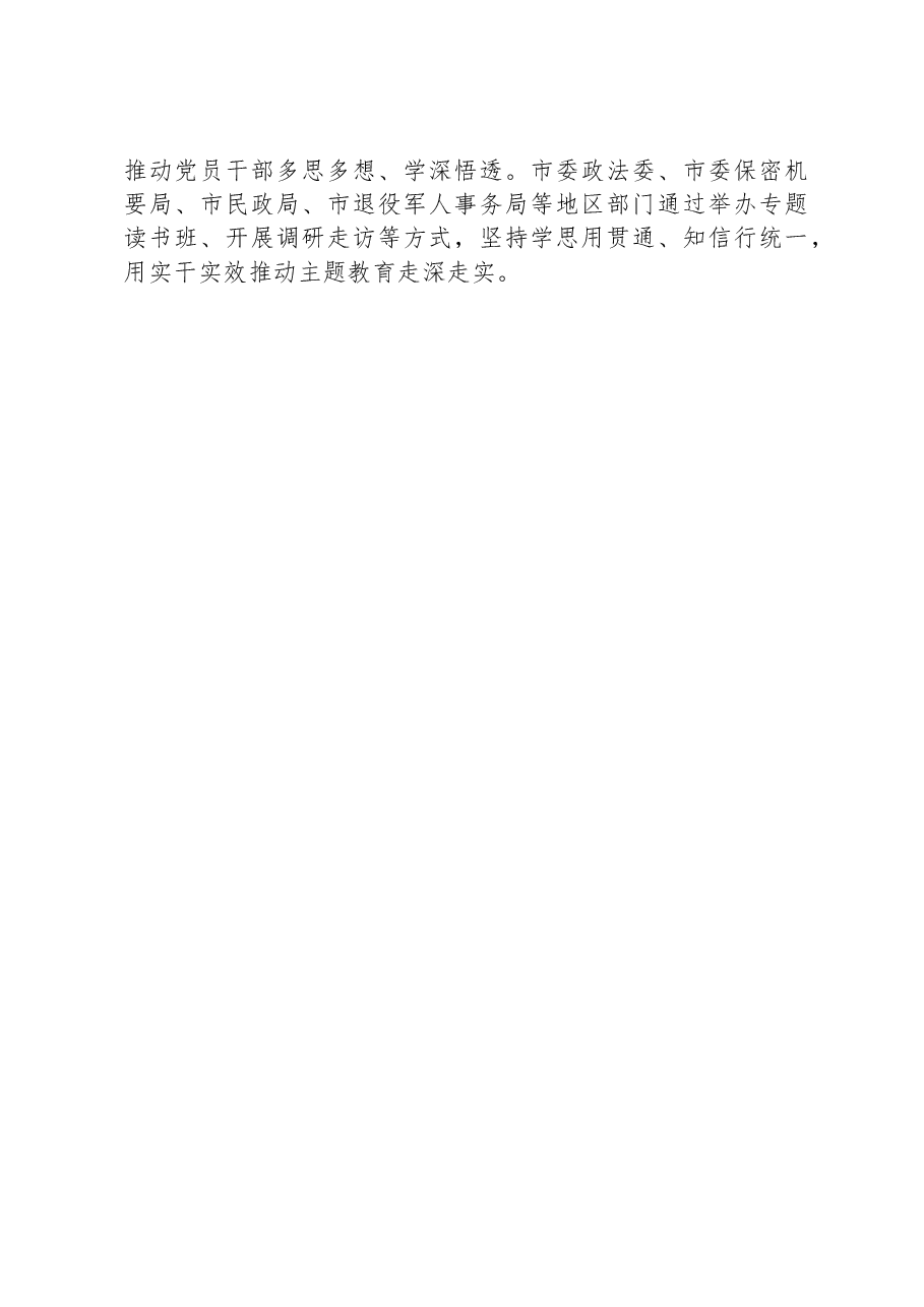 市第二批主题教育开展情况工作总结报告.docx,第3页预览